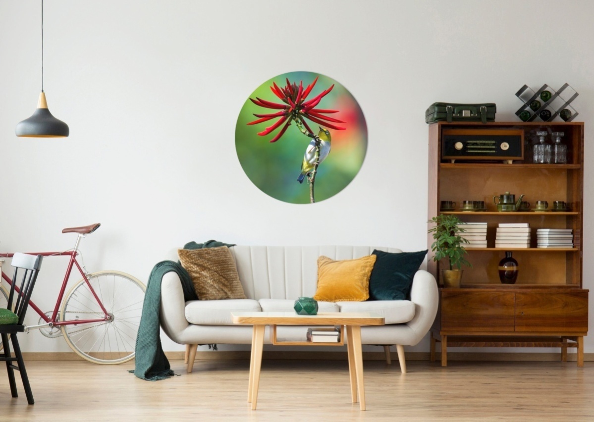 product-image-322